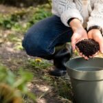 Un sacchetto di fondi di caffè accanto a piante verdi in vaso, pronte per la concimazione.