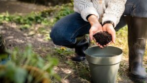 Un sacchetto di fondi di caffè accanto a piante verdi in vaso, pronte per la concimazione.
